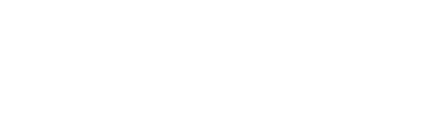Bizlink